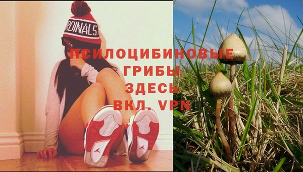 apvp Абаза