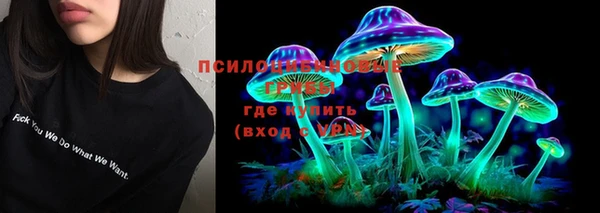 apvp Абаза